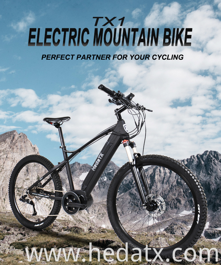 Electric Mountain Bike